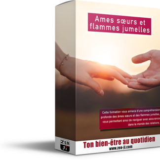 Les âmes sœurs offrent une connexion harmonieuse, tandis que les flammes jumelles vivent une relation intense et transformative.